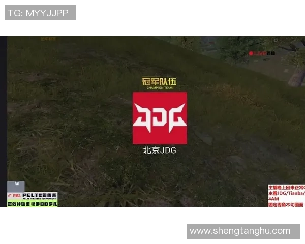 和平精英评论：探讨JDG快攻策略的优缺点与战术调整建议