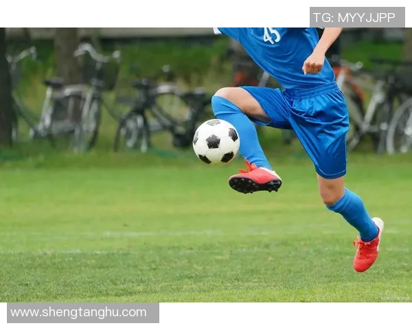 足球大分中：探索这项运动的魅力与发展历程，感受激情与团队合作的力量