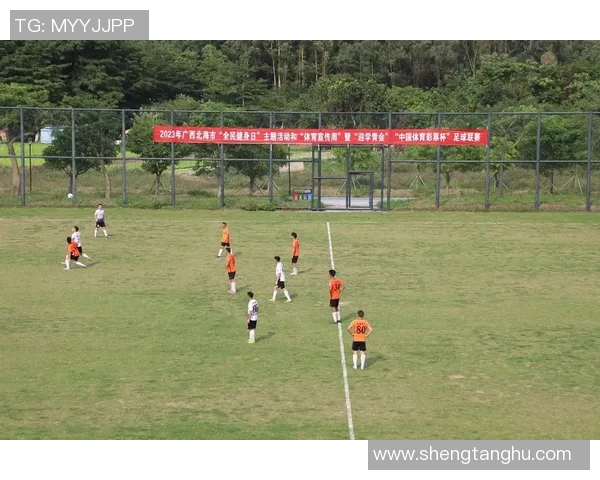 踢足球成风引领全民健身热潮助力青少年健康成长与团结精神培养