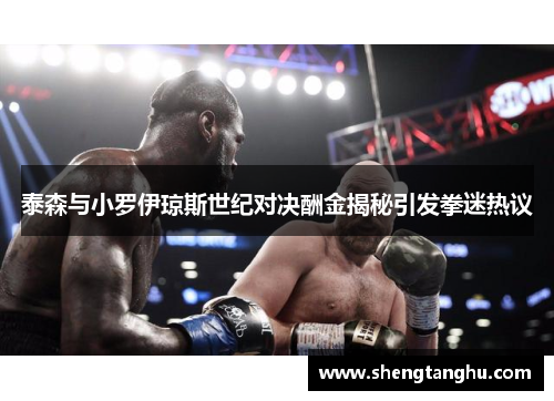 泰森与小罗伊琼斯世纪对决酬金揭秘引发拳迷热议