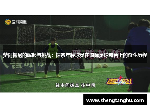 楚阿梅尼的崛起与挑战：探索年轻球员在国际足球舞台上的奋斗历程