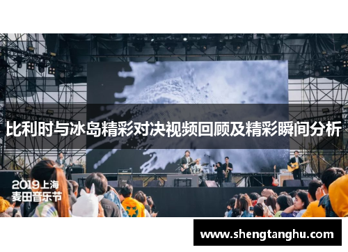 比利时与冰岛精彩对决视频回顾及精彩瞬间分析